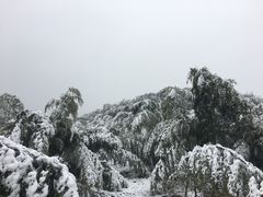 -四明山国家森林公园