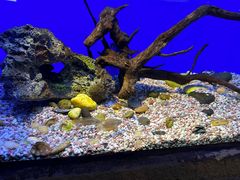 -上海海洋水族馆