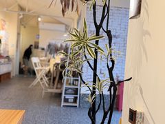 -小意思咖啡店(草桥店)