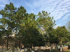 -白塘生态植物园