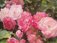 -人民公园(罗湖区)