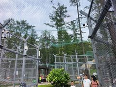 -横道河子东北虎林园