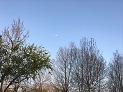-潍坊市鑫达汽车贸易有限公司