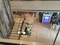 -四川米兰柏羽医学美容医院