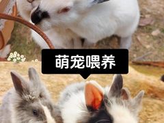 -栖露营camping·天幕烧烤·团建拓展·采摘营地