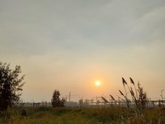 -芒洲湿地公园
