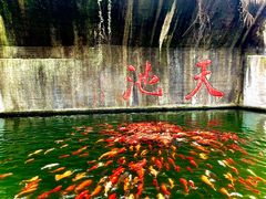 -千岛湖东南湖区