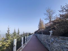 -云顶山风景区