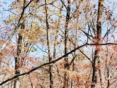 -丹东天桥沟景区