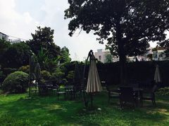 -大可堂普洱茶馆(襄阳南路馆)