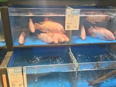 -盒马鲜生(皇庭广场店)