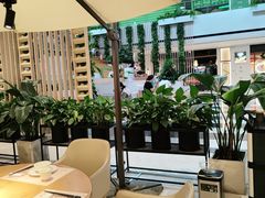 -顺风汤馆·广府粤菜(江宸天街店)
