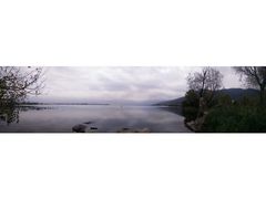 android_upload_pic-西昌邛海湿地