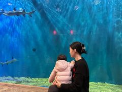 -华夏文旅海洋公园