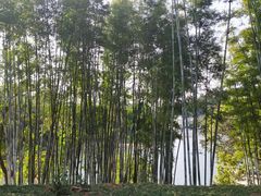 -广东温泉宾馆