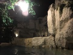 -中铁花水湾温泉酒店(大邑店)