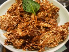 乾隆白菜-局气 烤鸭·北京菜(光华路店)