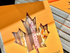 -Laderach 莱德拉(上海环贸iapm店)