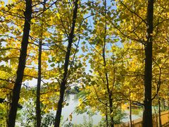 -艾溪湖湿地公园