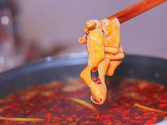 -董眼镜火锅(洪崖洞总店)