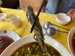 -胖大姐黄辣丁鱼庄(新津店)