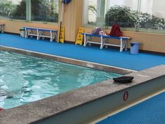 泳池-美利康·达兹游泳馆(世博花园店)