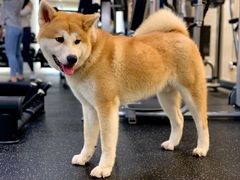 -YCHL Studios健身工作室(市二宫店)