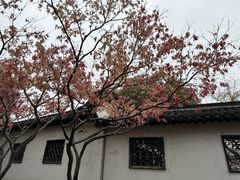 -何园