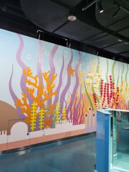 -北京科学中心儿童乐园