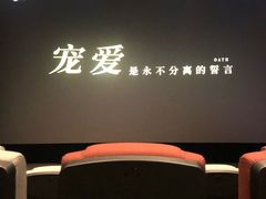 -星河寰宇IMAX影城(星河WORLD·COCO Park店)