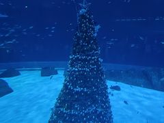 -上海海昌海洋公园