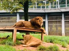 -昆明动物园
