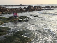 -青岛第二海水浴场