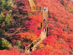 -水峪民俗村