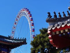 -天津大悲禅院