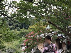 -樱京和服租赁体验(京都总店)