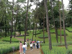-保利石象湖景区