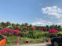 -四川小胡子海鲜(丁村万人海鲜广场店)