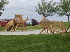 -空港花田景区