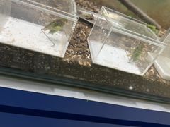 -上海昆虫博物馆