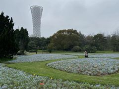 -上海滨江森林公园