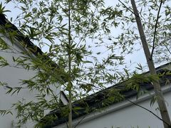 -凤凰山斑鱼馆(恭城店)