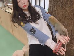 -藦茜花园宠物主题亲子互动体验馆(国顺东路店)