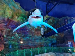 -青岛嘉年华主题乐园