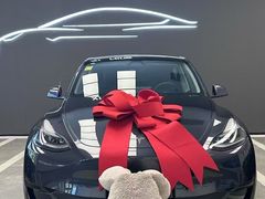 -TESLA 特斯拉(北京南四环中路特斯拉中心)