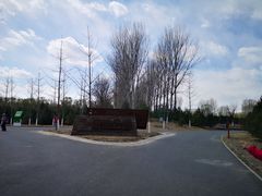 -东郊湿地公园
