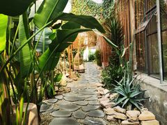 -桉树林A coffee 森林餐厅(三圣乡店)