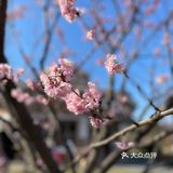万物自有它的季节，耕种、锄草，花开时看花
