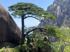-黄山风景区