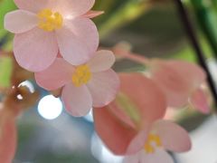 -友谊阳光城